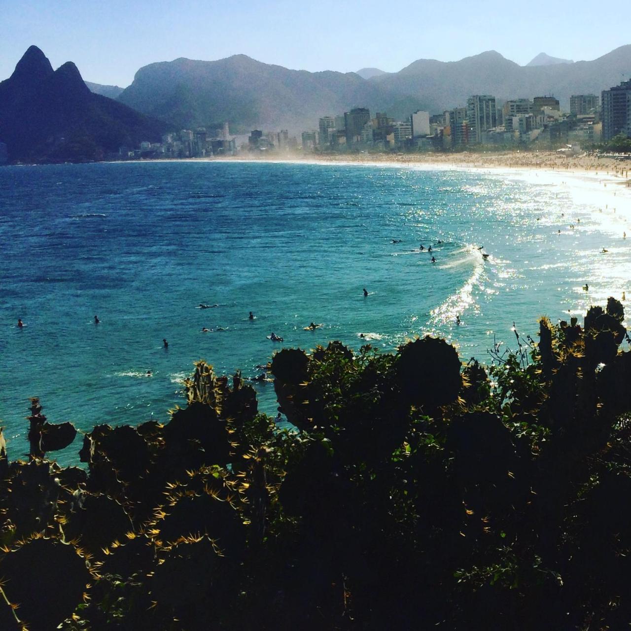 Copaestilo * Río de Janeiro